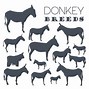 Image result for Donkey Breeds Pig