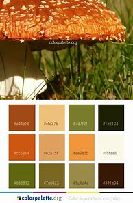 Image result for Mushroom Color Palette