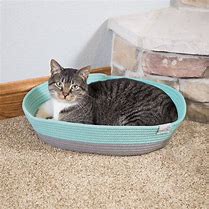 Image result for cats bed