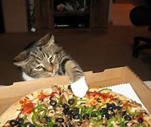 Image result for Cat Eating Pizza Art