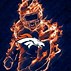 Image result for Go Denver Broncos