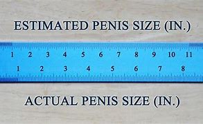 Image result for How Big Is 15.5 Inches