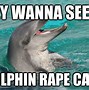 Image result for River Dolphin Meme
