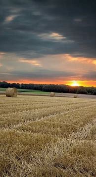 Image result for Farm iPhone Wallpaper
