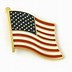 Image result for Pic of Us Flag Pin