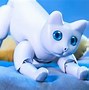 Image result for Robot Cat