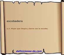 Image result for escobadera