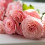 Image result for Keighley Pink Floral Wallpaper