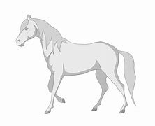 Image result for 马 Horse