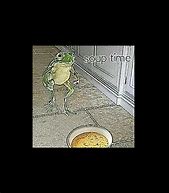 Image result for Soup Time Frog Meme