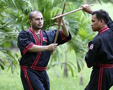 Image result for Arnis Presas Style