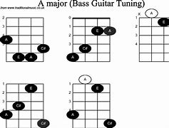 Image result for Bass Guitar Notes for Beginners