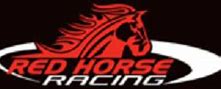 Image result for Horse Racing Front View