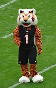 Image result for Cincinnati Bengals Mascot
