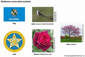 Image result for Oklahoma State Symbols
