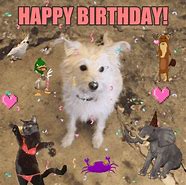 Image result for Bad Happy Birthday for Men's Funny GIF