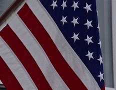 Image result for USA Flag Kids