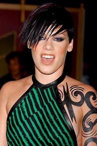 Image result for Singer Pink with Dark Hair