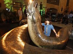 Image result for Largest Snake Ever Lived