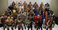Image result for WWE Action Figures Female