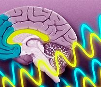 Image result for Brain Waves and Consciousness