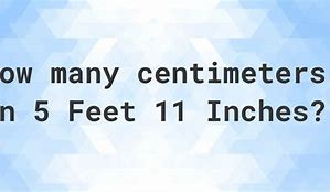 Image result for 5 Feet 11 Inches