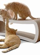 Image result for cardboard cats scratchers