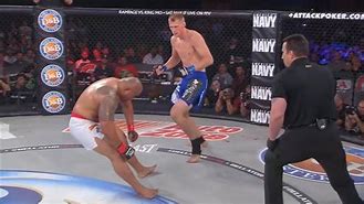 Image result for Deadliest MMA Moves