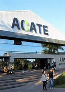 Image result for acate
