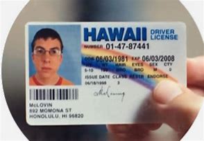 Image result for Hawaiian ID Meme