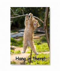 Image result for Hang in there poster