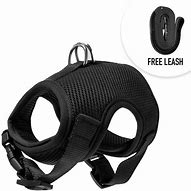 Image result for cat harness