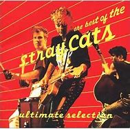 Image result for Stray Cats Collection