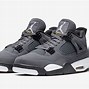 Image result for cool gray 4s