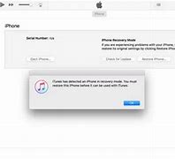 Image result for Use iTunes to Restore