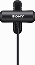 Image result for Sony Stereo Microphone