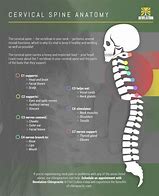 Image result for Cervical Spine Affects Body Diagram