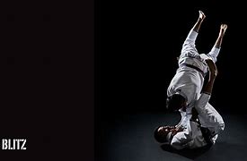 Image result for Brazilian Jiu Jitsu Free Images