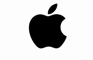 Image result for Single Apple Icon