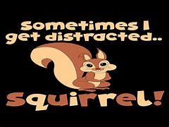 Image result for Squirrel Meme Distracted