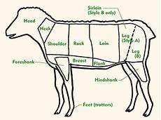 Lamb Sheep Cuts By Chart