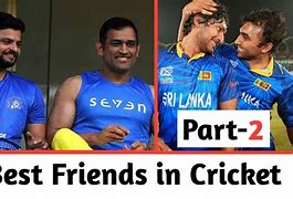 Image result for Cricket Friend