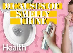 Image result for Urine Smell