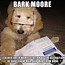 Image result for Labradoodle Memes