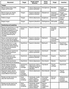 This Table Details The Muscles Involved In Tongue Movement