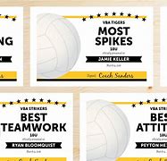 Image result for Volleyball Awards Ideas