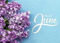 Image result for June Calendar White Background