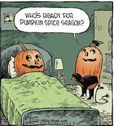 Image result for Halloween Pumpkin Funny Memes