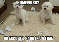 Image result for Dog Homework Meme
