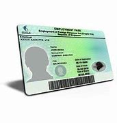 Image result for Singapore Employment Pass